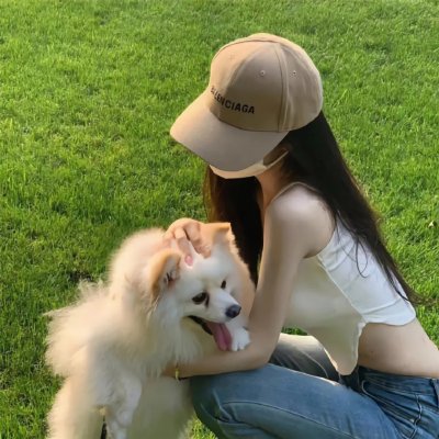 空中的飞鸟
